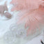 12 Pack 13"-15" Rose Gold Natural Plume Real Ostrich Feathers, DIY Centerpiece Fillers