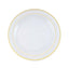 10-Pack Plastic Dinner Plates Clear with TrÃ¨s Chic Gold Rim - Perfect Disposable Party Plates 10"