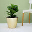 11" Gold Hammered Design Large Indoor Flower Plant Pot, Decorative Greenery Planter