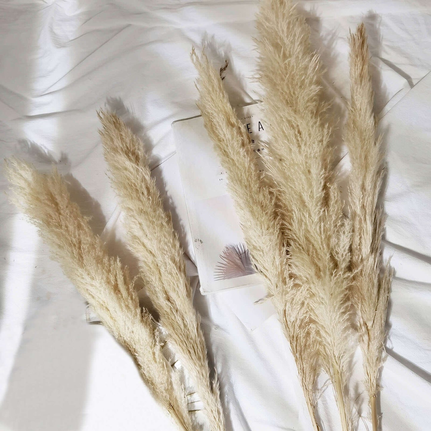6 Stems Natural Dried Pampas Grass Decor Wheat Tint - Tall Plant Sprays for Boho Chic Vase Displays Backdrops & Event Styling 49"
