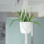 2-Pack Hanging Planter Baskets with Tassels Ivory Boho Design - Cotton Rope Indoor Decorative Flower Holders