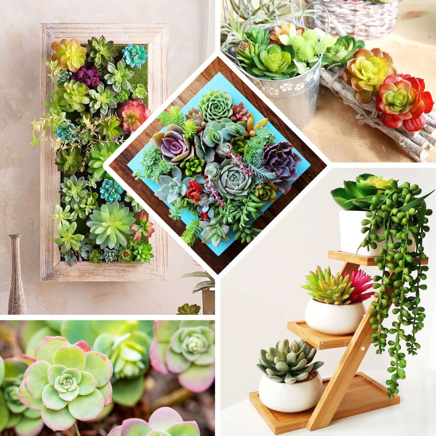 3 Pack 6" Artificial PVC Wavy Kalanchoe Decorative Succulent Plants