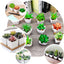 3-Pack Crassula Artificial Succulents in Geometric Ceramic Pot - Lifelike Decorative Faux Plants for Home Office & Event Design 8"