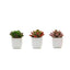 3-Pack Echeveria Elegans Artificial Succulents in Ceramic Pot - Lifelike Decorative Faux Plants for Home Office & Event Design 3"