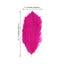 12 Pack 13"-15" Fuchsia Natural Plume Real Ostrich Feathers, DIY Centerpiece Fillers
