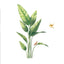 Bird of Paradise Tropical Plant Wall Decal, Peel and Stick Removable Stickers