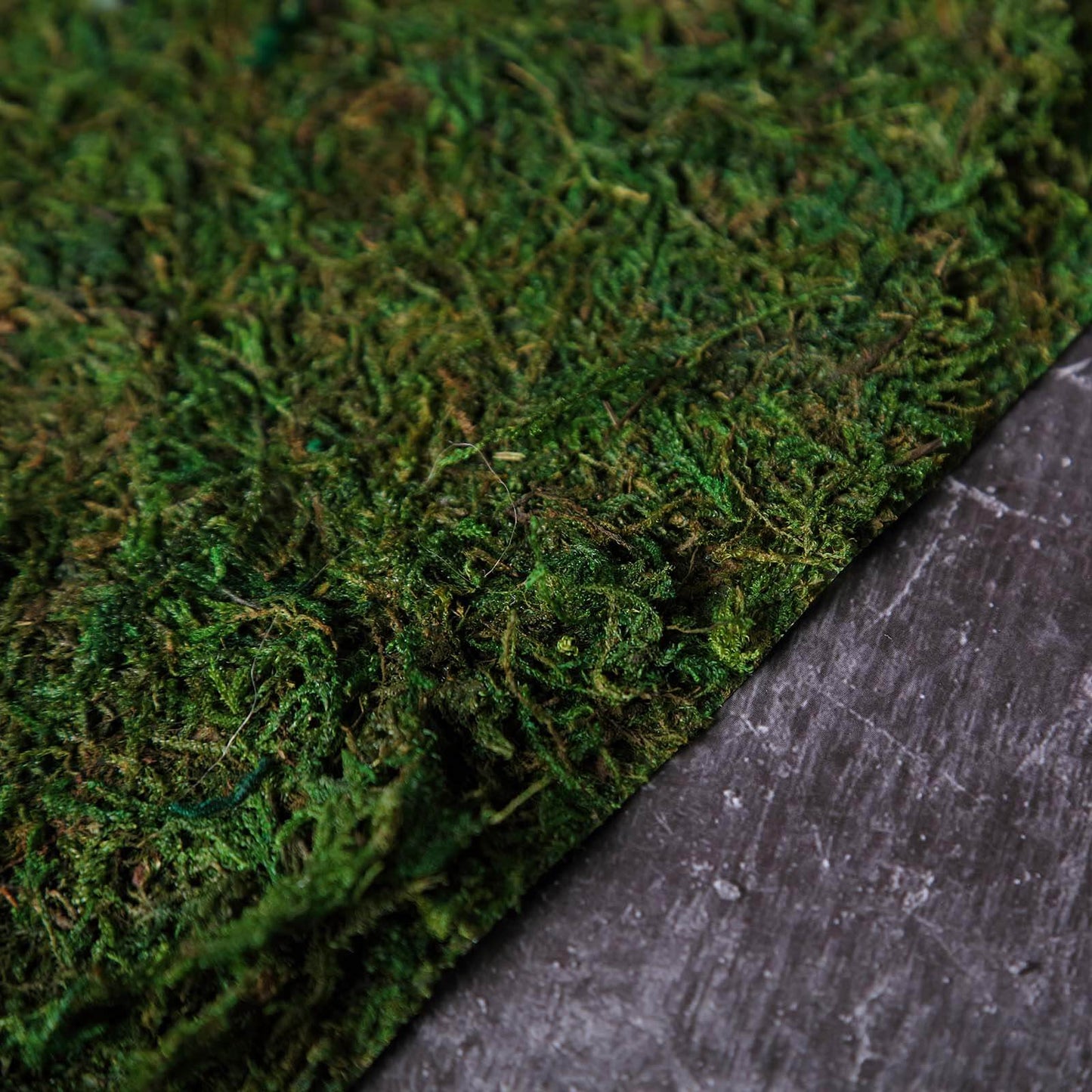 18"x16" Preserved Natural Moss Wall Sheet Roll, Moss Landscape Panel