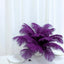 12 Pack 13"-15" Purple Natural Plume Real Ostrich Feathers, DIY Centerpiece Fillers