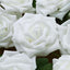 24 Roses 5" White Artificial Foam Flowers With Stem Wire and Leaves
