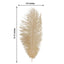 12 Pack 13"-15" Beige Natural Plume Real Ostrich Feathers, DIY Centerpiece Fillers