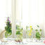 6-Pack Glass Flower Vases Cylinder Design Heavy Duty Clear - Stylish Centerpieces for Weddings 14"