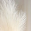 3 Stems Artificial Pampas Grass Decor Cream for Rustic Boho Chic Backdrops Floral Styling & Vase Displays 44"