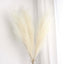 3 Stems Artificial Pampas Grass Decor Cream for Rustic Boho Chic Backdrops Floral Styling & Vase Displays 44"