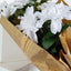 30" Tall White Artificial Dahlia Silk Flower Stems, Faux Floral Spray